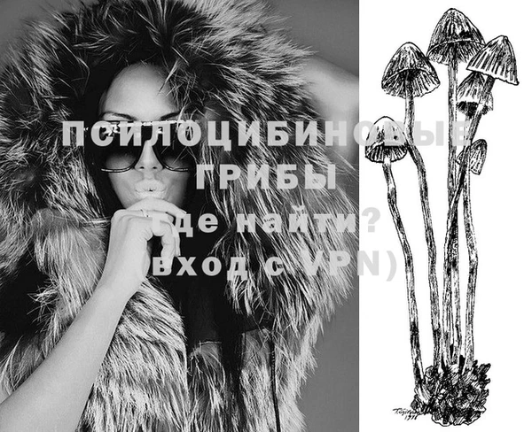 ECSTASY Нея