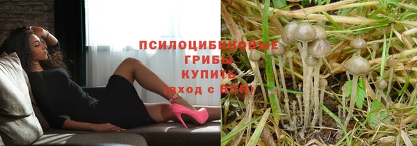a pvp Нефтекумск